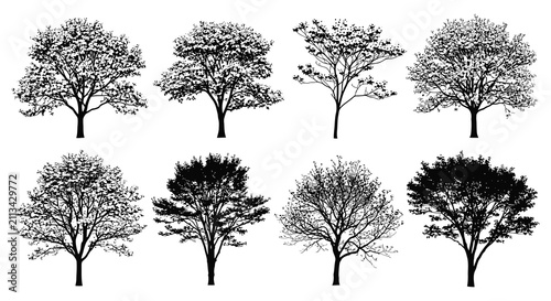 Foto Tree Silhouettes On White Background Collection Of Eight Variations