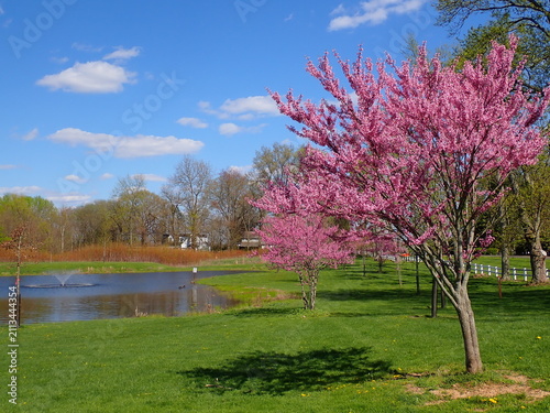 Foto Stark Parks, Tam O'Shanter Park fishing pond in the April in the spring on a sun