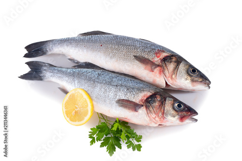 seabass