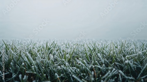 Frost-covered grass in the early morning, with dew and cold weather. Nature and landscape. Environmental conditions and natural scenery. The scene of cold and frost on nature.