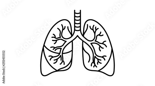 Bild auf Leinwand Human Lungs Outline Vector Illustration