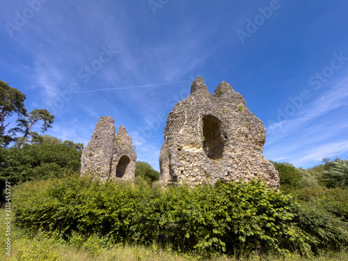 Obraz na plátne Odiham Castle, ruined castle situated near Odiham in Hampshire, United Kingdom