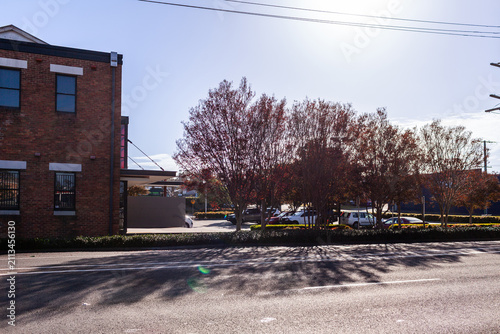 Autumn trees alongside street in town of Cessnock