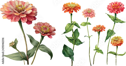 collection of flowers
