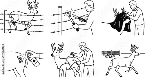 Konstfotografi Step-by-step illustration showing the rescue of a deer caught in a barbed wire f