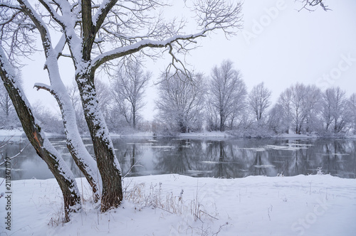 фотографія Snow-covered trees on the bank of a winter river