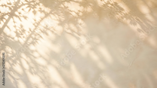 Soft natural sunlight creates intricate shadows of tree leaves cast upon a smooth beige wall surface in warm summer light