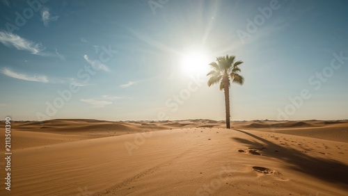 Desert landscape with sand dunes, a single palm tree, and bright sun, creating shadows. Arid environment, open space, and clear sky.