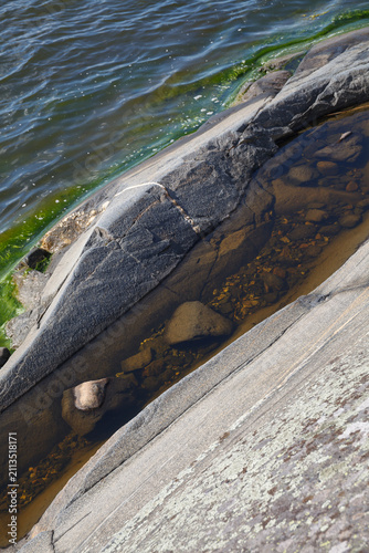 Vertical close-up of a granite rock crevice with a dark tide pool and algae along the shoreline.