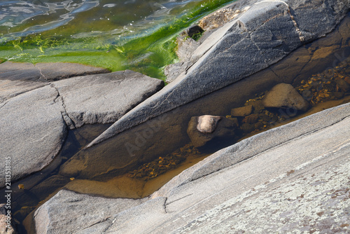 Cracked granite shoreline crevice with a tide pool and a thin line of green algae at the waterline.