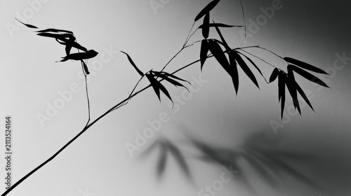 Silhouetted bamboo stalks with long, delicate leaves cast a soft shadow