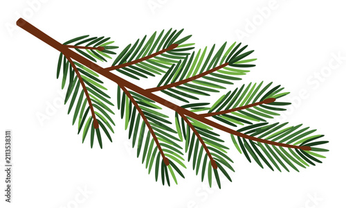 Detailed vector illustration of a fresh green pine or fir tree branch with needles, isolated on a clean white background.