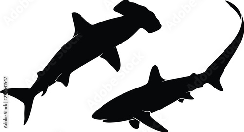 Konstfotografi Black shark silhouette vector illustration featuring a hammerhead shark and thre