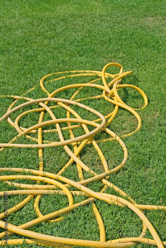 yellow garden hose on the grass