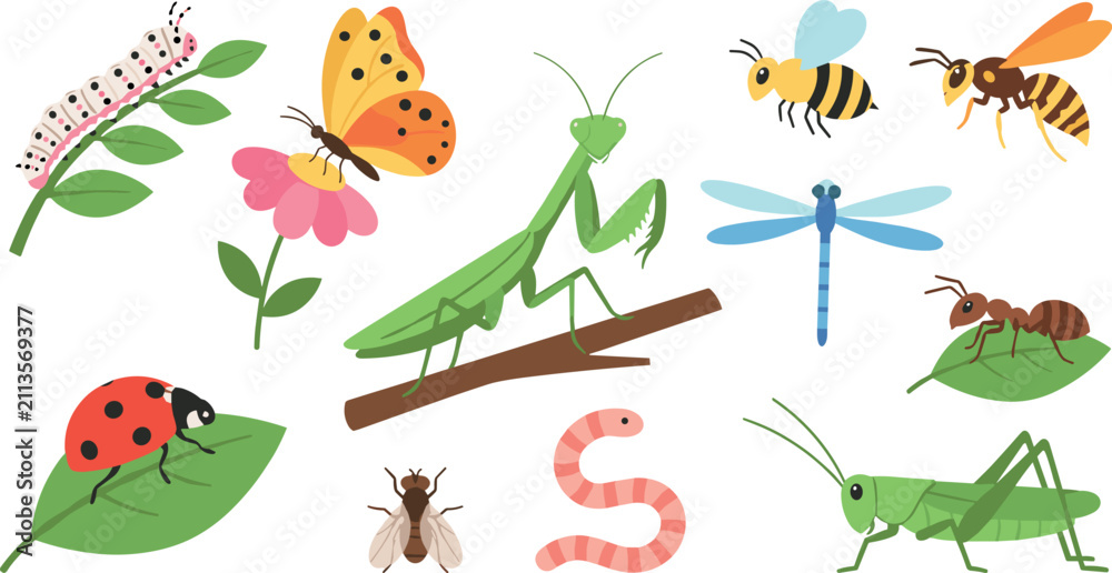 Obraz premium Garden Insect and Bug Collection Set with Butterfly, Bee, Mantis, Dragonfly, and Grasshopper for Nature and Science Designs