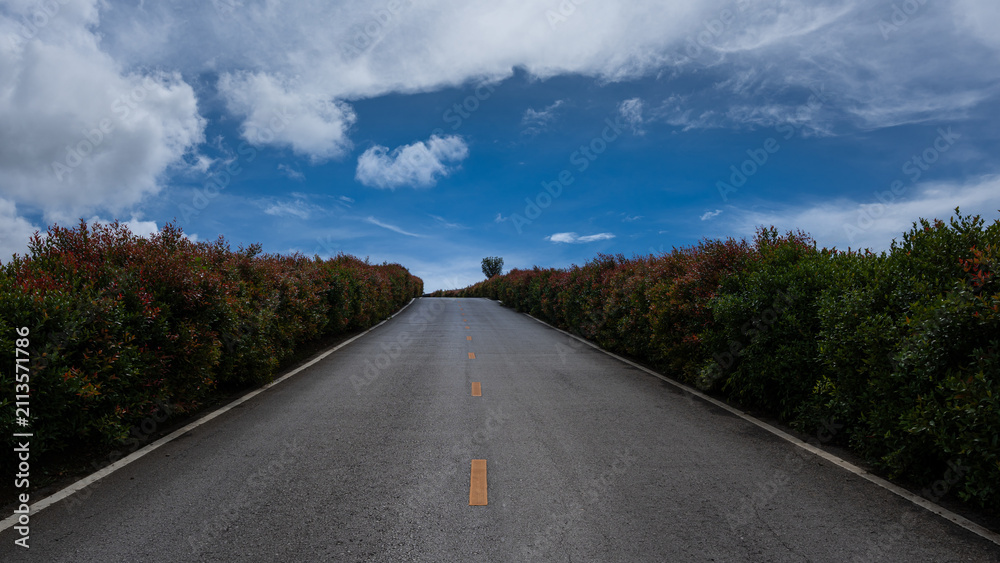 Fototapeta premium Empty uphill road surrounded by green bushes under dramatic blue sky and white clouds.