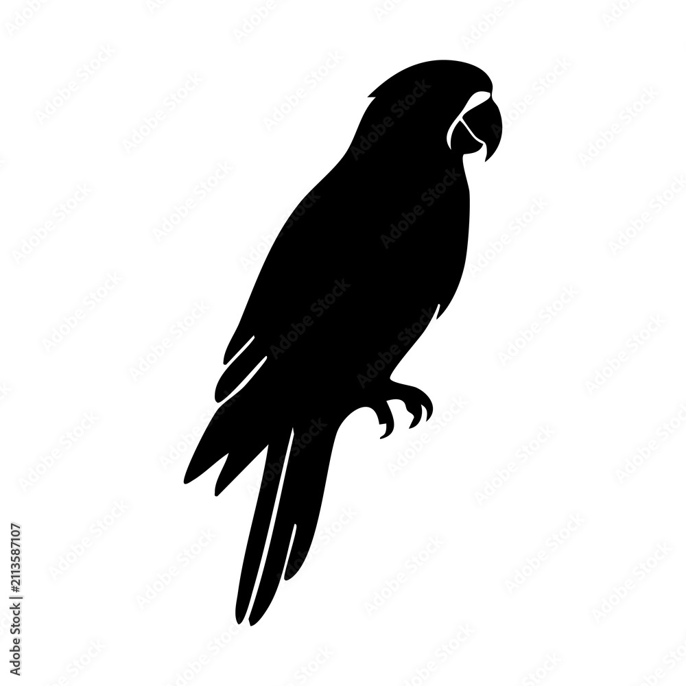 Fototapeta premium Cockatoo vector silhouette