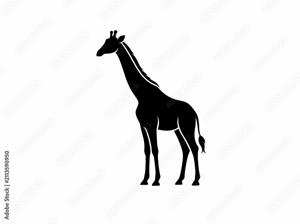 Fototapeta premium Silhouette of a giraffe standing still against white background