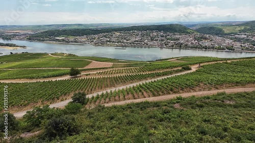 Aerial summer view of German Rhine vineyards stretching across green hills and river valley landscapes