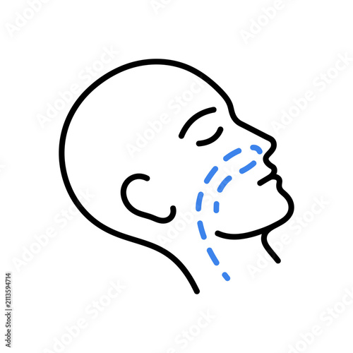 Foto Abstract Human Head Profile with Nasal Passages