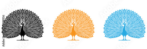 Colorful peacock feather fan illustration in flat design style isolated on transparent background, Vector