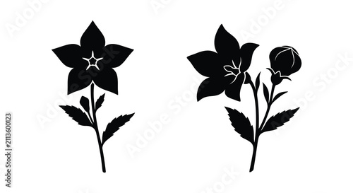 Foto Floral arrangements of bellflower and budding stem black and white silhouette fl