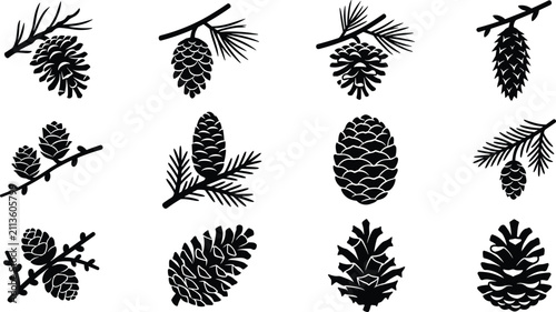 Quadro su tela Set of black silhouette pine cones and evergreen tree branches icons for vector