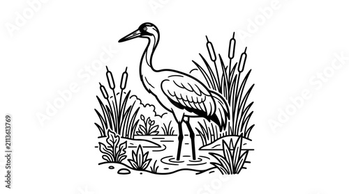 Elegant Black and White Line Drawing of a Crane Standing Gracefully in Marshland with Tall Reeds and Water Plants