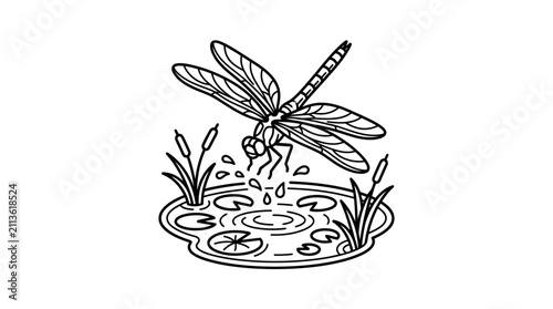 Industrial Style Black and White Line Drawing of Dragonfly Near Water Puddle with Ripples and Plants