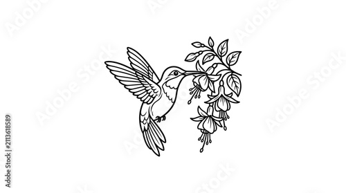 Industrial Style Black and White Line Drawing Hummingbird Feeding on Flowers with high quality professional line art symbols for modern creative design and digital branding projects