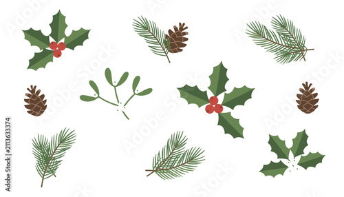 Winter Christmas botanical element collection featuring pine branches, pinecones, mistletoe, and red holly berries.