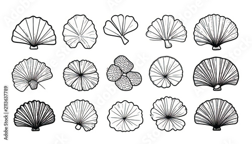 Vector illustration of two stylized scallop shells, line art, minimalist design, perfect for marine themes, tattoos, and crafts