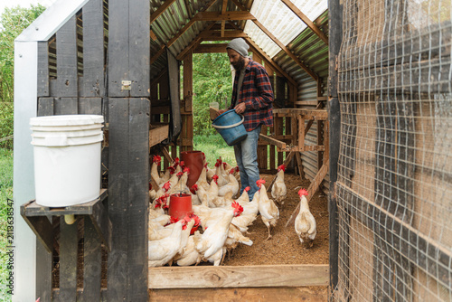 Farmer feeding chickens inside a rustic coop