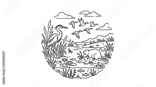 Professional Black and White Line Drawing of Wetland Ecosystem with Birds Heron Beaver Fish and Plants
