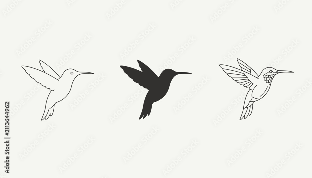 Obraz premium Hummingbird vector design set featuring clean outline silhouette and detailed graphic illustrations of a flying bird.