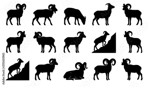 Obraz na plátne European Mouflon Silhouette Vector Collection with Wild Mountain Sheep Poses for