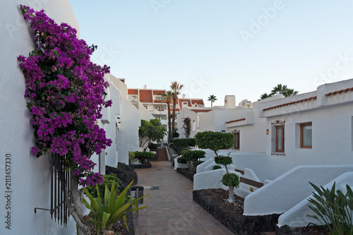 White resort walkway with blooming purple bougainvillea, Los Cristianos, Tenerife