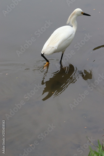 Colombian Wildlife and Nature Photography Collection
