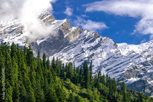 Snow covered mountain peaks above evergreen pine forest with blue sky and soft clouds in Himachal Pradesh