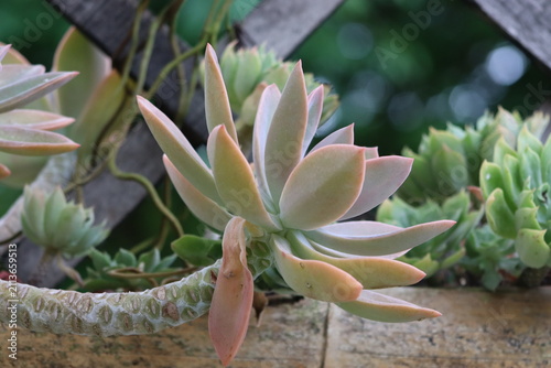 Colombian Wildlife and Nature Photography Collection