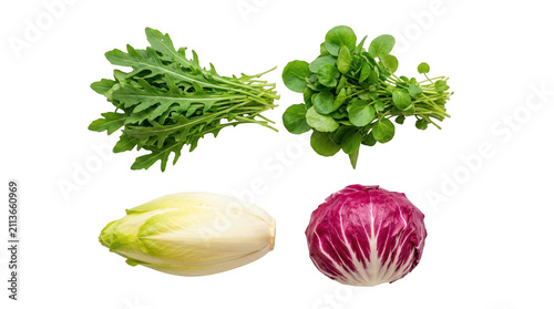 Fresh arugula rocket watercress endive and radicchio salad greens set