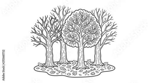 Foto Bare Trees in Forest: A captivating black and white illustration depicts a serene forest scene featuring several bare trees, their intricate branches reaching towards the sky