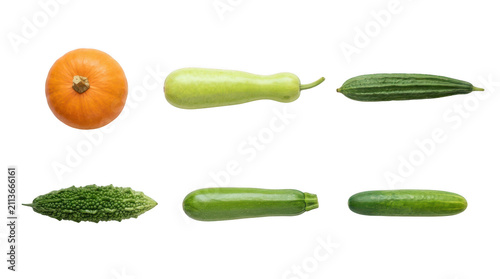 Fresh pumpkin zucchini cucumber and bitter melon vegetables arranged on a flat surface for healthy cooking concepts