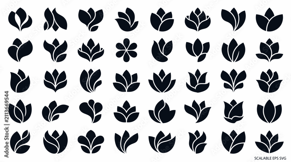 Fototapeta premium Black and white leaf pattern collection