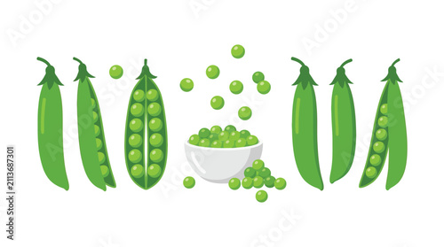 Canvas Print Green pea pods and loose peas vector illustration on white background