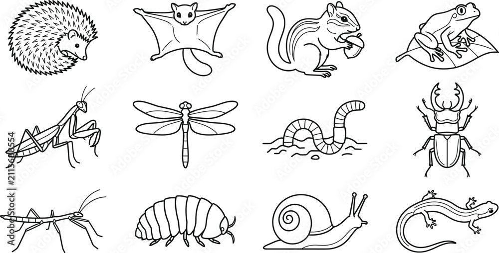 Obraz premium Forest Animals and Insects Line Art Vector Set Featuring Wildlife Reptiles Amphibians and Nature Creatures Collection