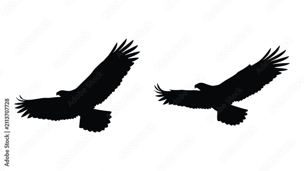 Fototapeta premium Two flying eagle silhouettes isolated against plain white background for graphic design projects
