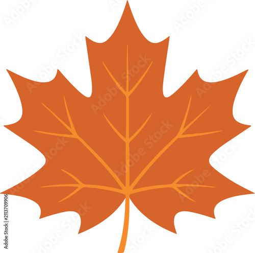 Maple leaf vector icon  