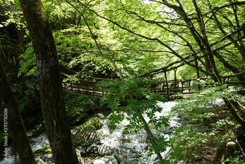 Iya Tal Hängebrücke