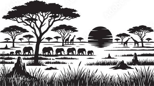 Fotografie Black and white silhouette of an african savanna landscape with acacia trees, el